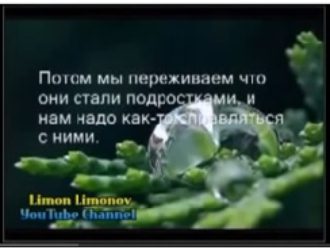 ВИДЕО ПРИНОСЯЩЕЕ СЧАСТЬЕ!