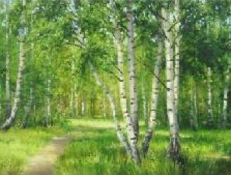 Исповедь врача. Почему я ушла из медицины
