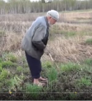 Алтайский Старец — Високосный 2016 как 1941 год