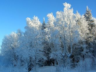 Прогноз Хроник АКАШИ на ДЕКАБРЬ 2016