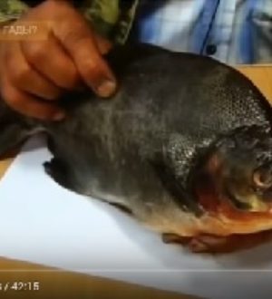КАТАКЛИЗМЫ В 2017 ОСТАЛОСЬ СОВСЕМ НЕМНОГО