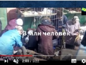 МЫ ВСЕ ЕЩЕ НАДЕЕМСЯ ЖИТЬ ЛУЧШЕ